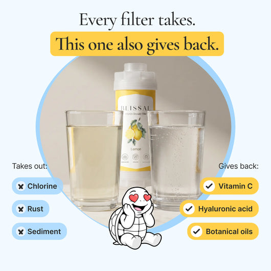 Blissal RitualFilter™
